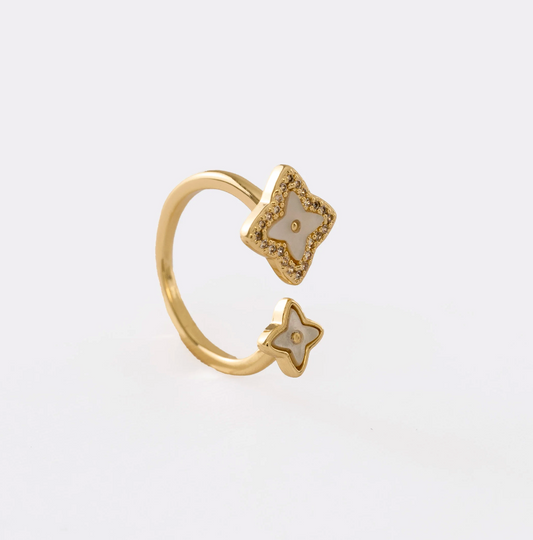 Anillo Double Lottus Ajustable