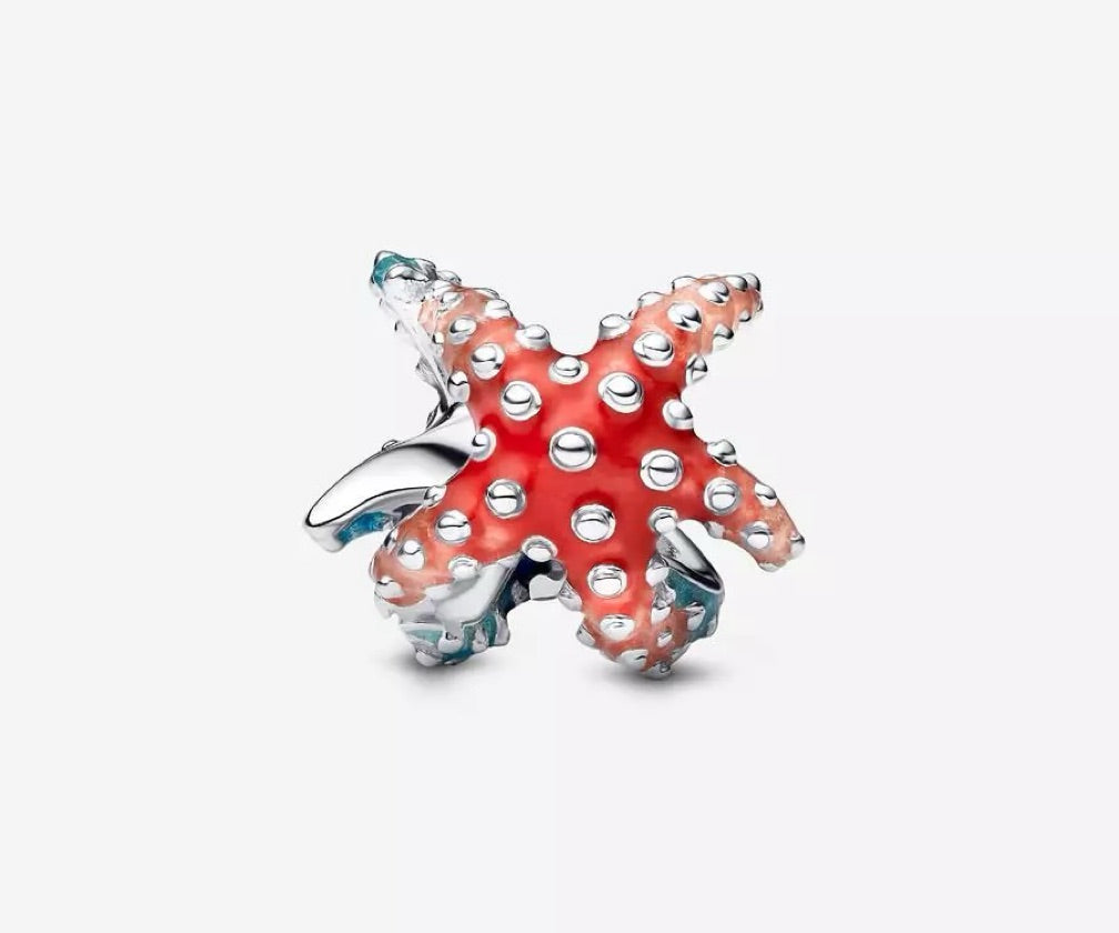 Charm estrella de mar
