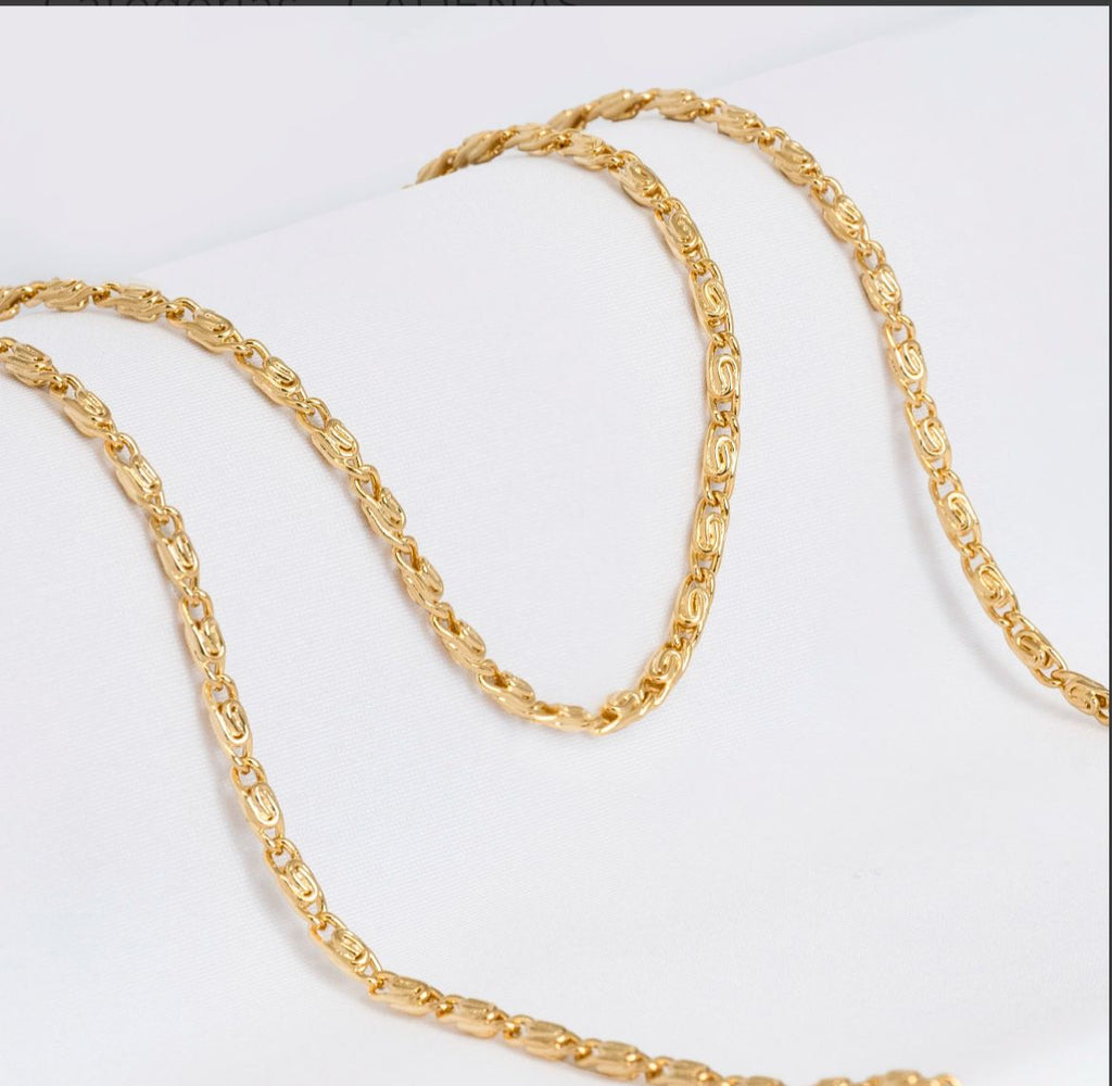 Caracol Gruesa 65 cm